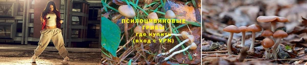 гидропоника Заводоуковск